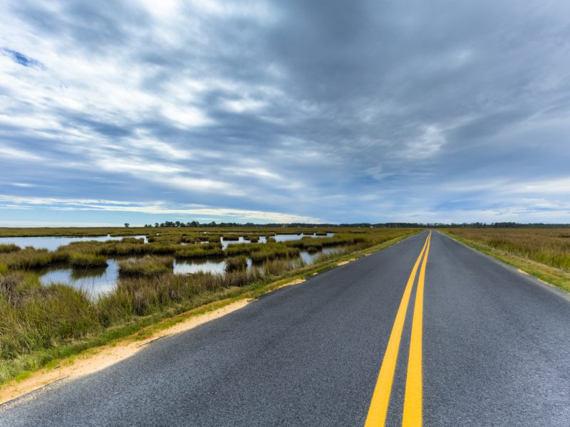 Highway Through Marsh